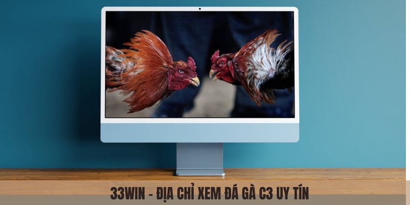 33Win - Địa chỉ xem đá gà C3 uy tín