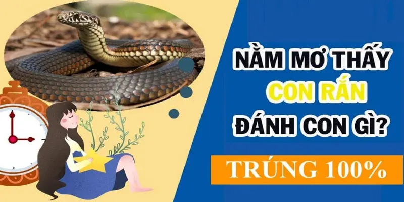 Giải mã giấc mơ về rắn cắn sẽ tìm ra nhiều bộ số đẹp để đánh cược