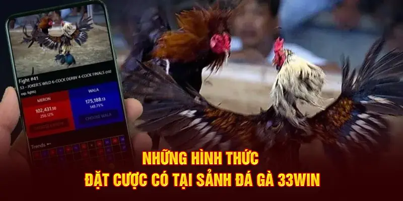 Những hình thức đặt cược có tại sảnh đá gà 33win