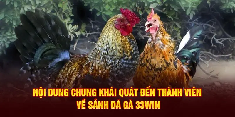 Thông tin khái quát về sảnh đá gà 33win