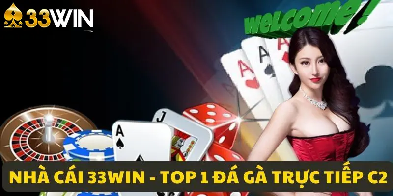 Nhà cái top 1 cung cấp live đá gà trực tiếp C2